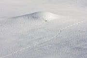 10 IMG 7770  Spuren im Schnee