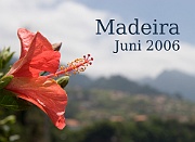 Madeira - ein Bilderbuch