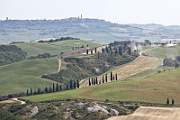 53 IMG 0647  Val d'Orcia